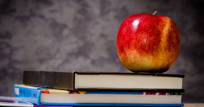 Scuola, concorso 2019 per docenti: anno di prova e immissione in ruolo per i vincitori