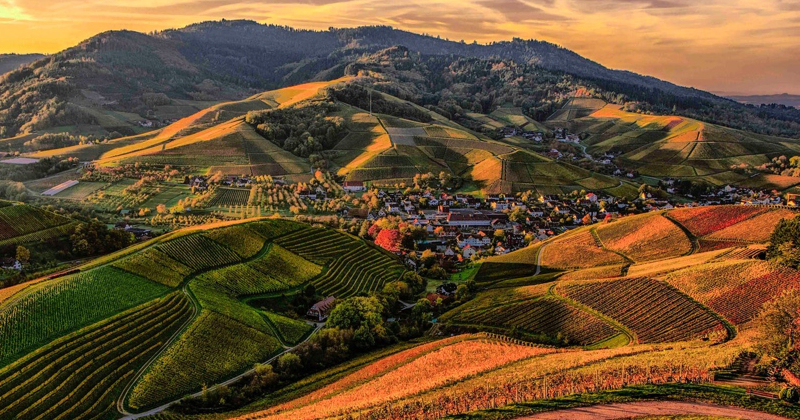 Efficienza energetica e sicurezza scuole: in attuazione al Dl Crescita il Mise emana il decreto che assegna 500 mln ai Comuni