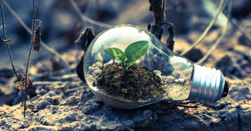 Dl Crescita: per i professionisti nasce il bonus fiscale per l'acquisto di prodotti da riciclo o da riuso