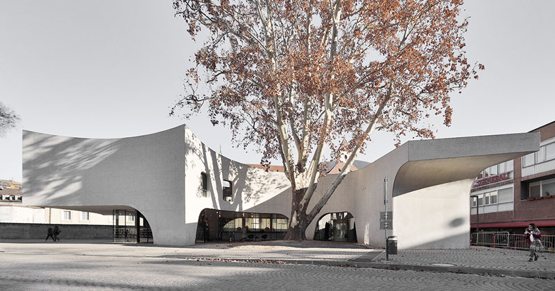 Bressanone, l'ufficio turistico di MoDus Architects avvolto intorno a un platano secolare