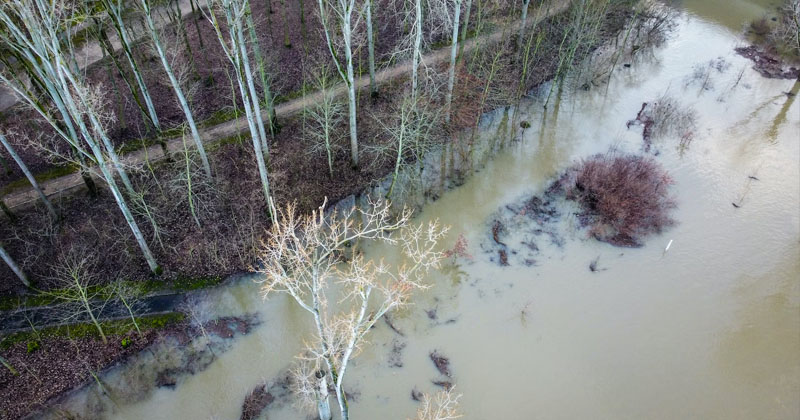 Alluvione Emilia-Romagna - raccolta fondi