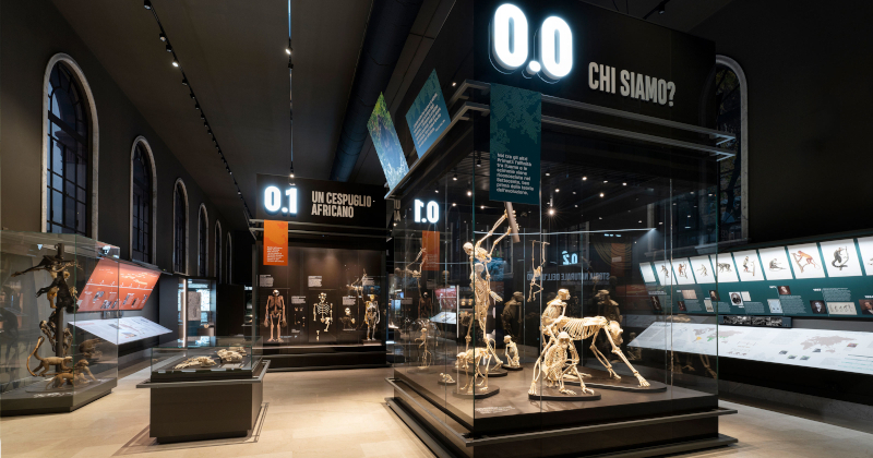 Milano, Museo di Storia naturale: Migliore+Servetto firma la sala dedicata all'evoluzione umana