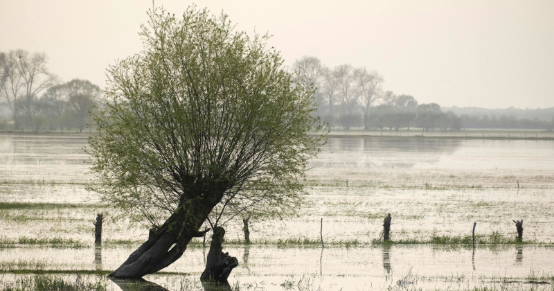La città metropolitana di Bologna cerca 16 architetti e ingegneri per la ricostruzione post-alluvione