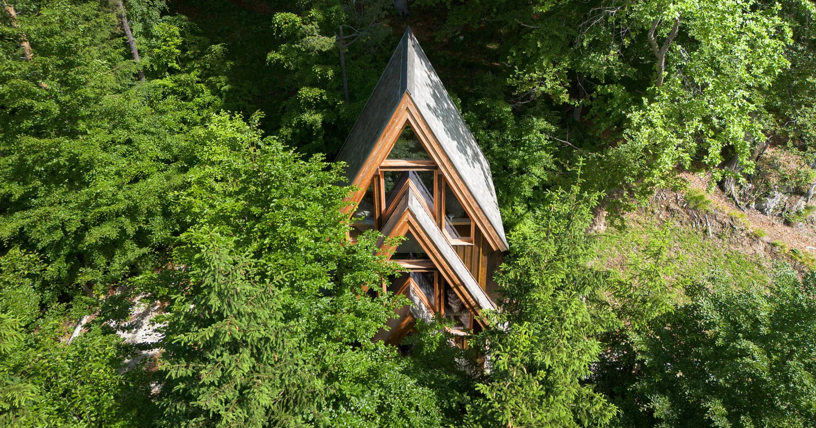 Dentro "Il Pino", Beltrame Studio disegna una casa tra gli alberi nella foresta di Tarvisio