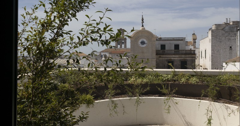 Cisternino (Br), il giardino verticale buca l'edificio per ospitare una giungla indoor