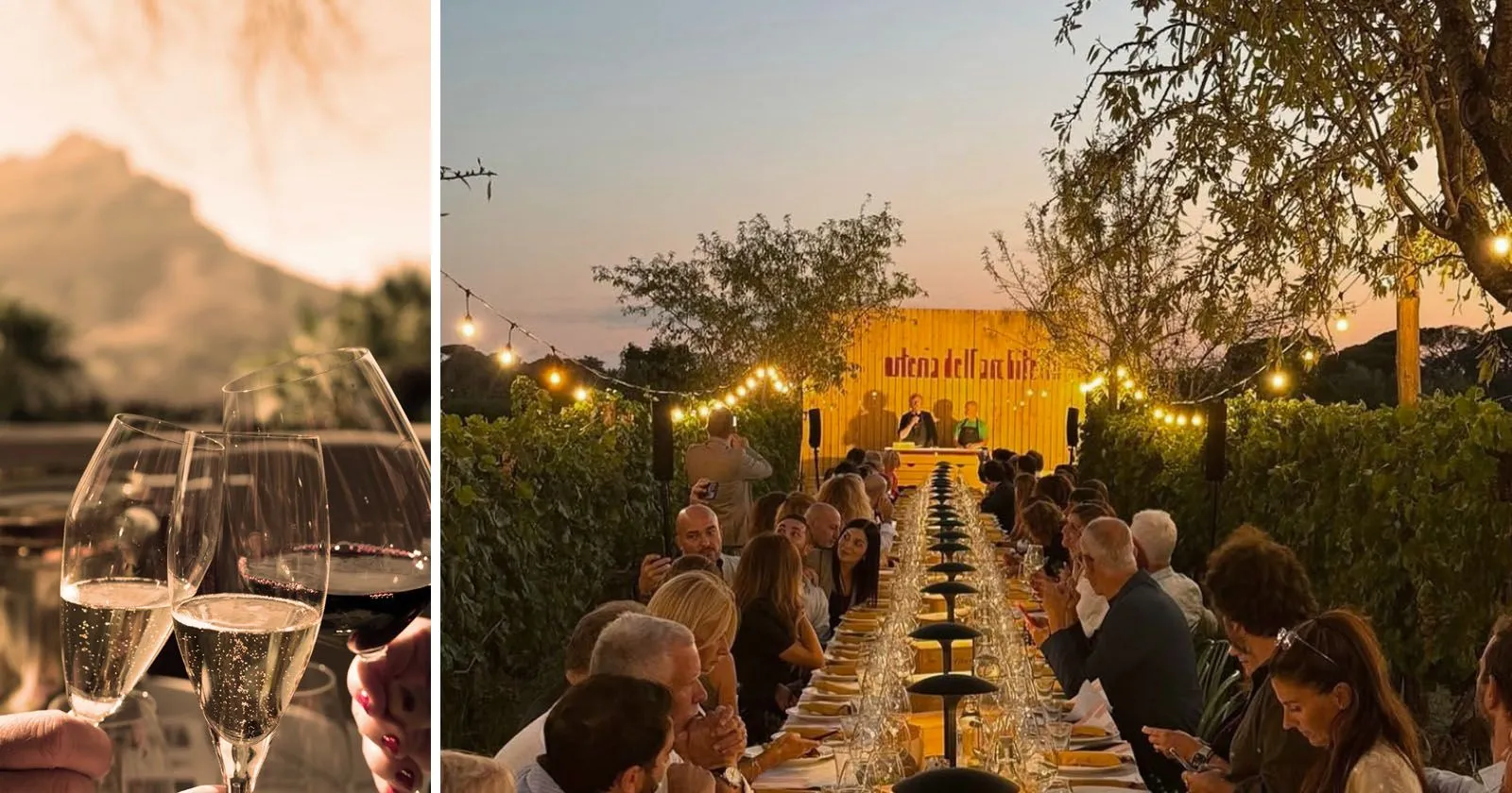 L'architettura delle cantine: trait d'union tra paesaggio e vino, sul "filare" UNESCO