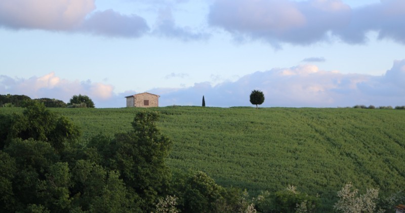 I limiti della sanatoria semplificata introdotta dal "salva-casa"