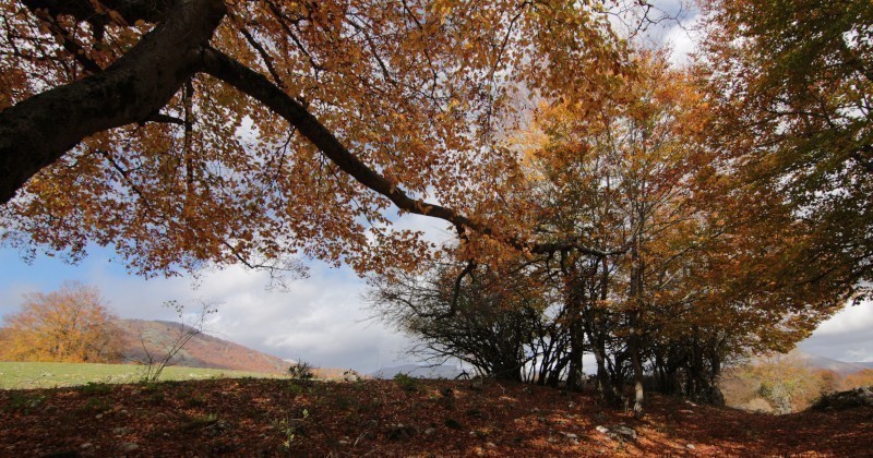 Piano di ripristino della natura, Inu: le aree di tutela siano individuate dai Comuni