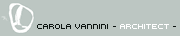 www.carolavannini.com