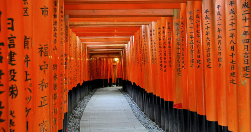 Giappone: 10 giorni di architettura tra passato e futuro